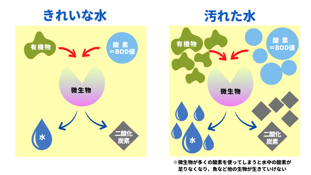 きれいな水を守るために。まずは台所の生活排水から！～家庭でできる「地球のきれい」 株式会社 イー・エス・エス